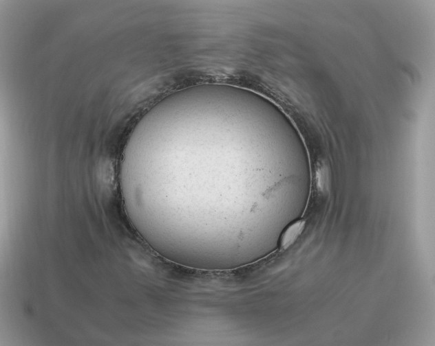 X0000115041347200911091356