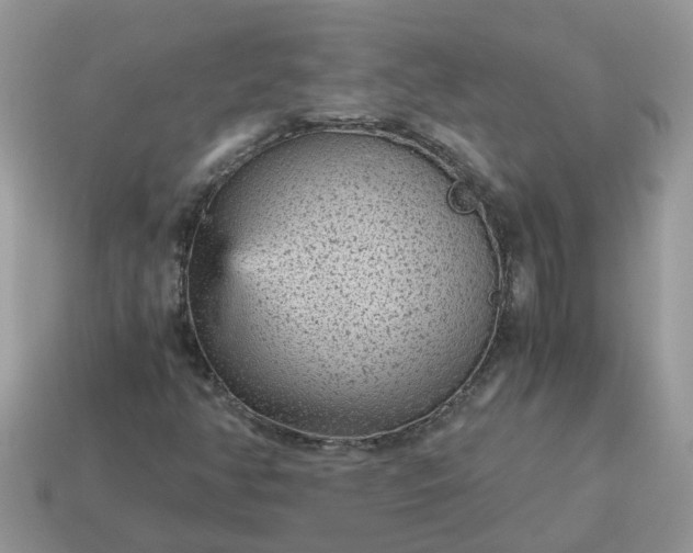 X0000115041350200911091356