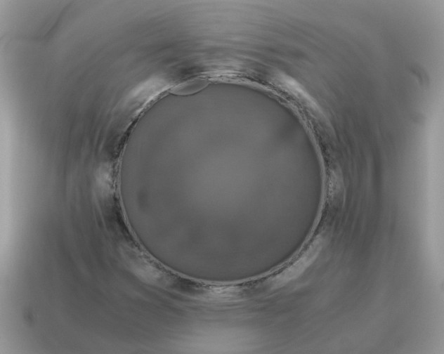 X0000115041353200911091356