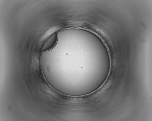 X0000115041354200911091356