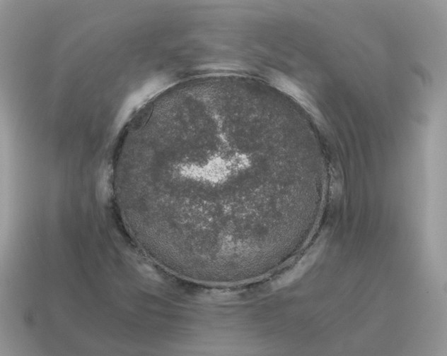 X0000115041357200911091356