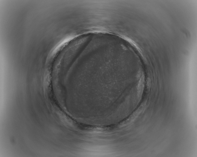 X0000115041359200911091356