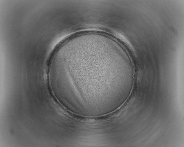X0000115041360200911091356
