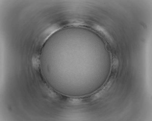 X0000115041361200911091356