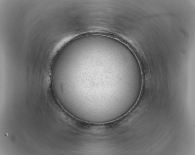 X0000115041363200911091356