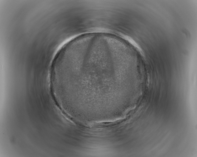 X0000115041364200911091356