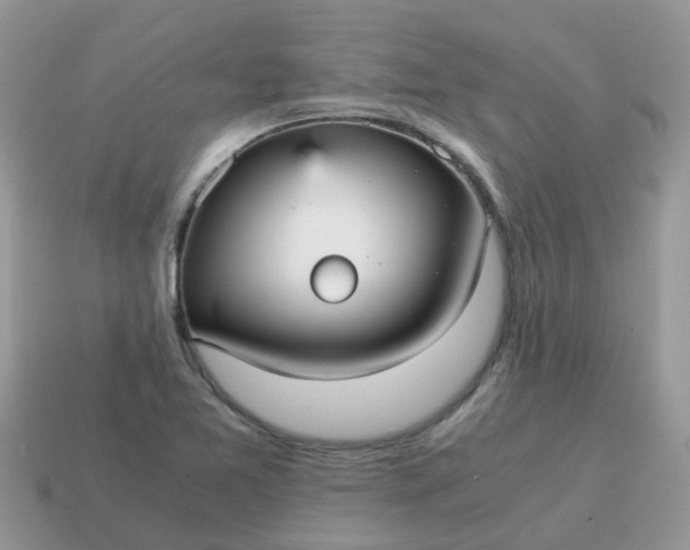 X0000115041365200911091356
