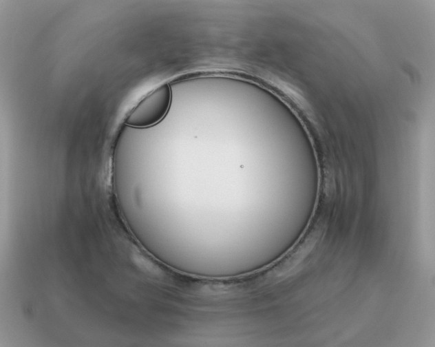 X0000115041366200911091355
