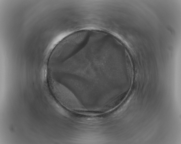 X0000115041367200911091355