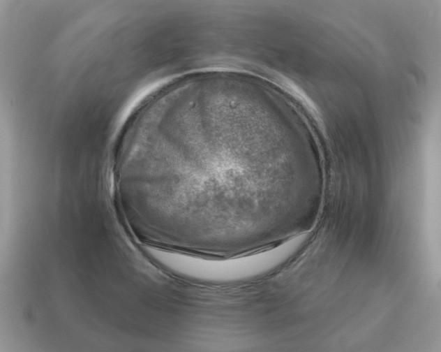 X0000115041368200911091355