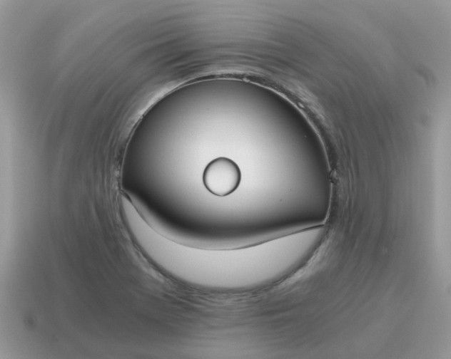 X0000115041369200911091355