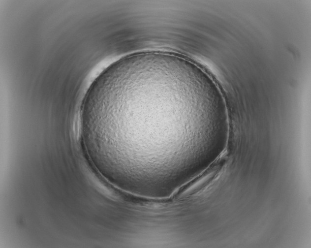 X0000115041371200911091355