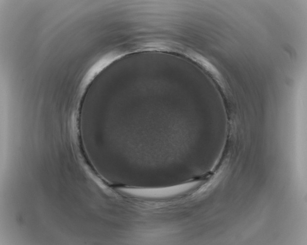 X0000115041373200911091355