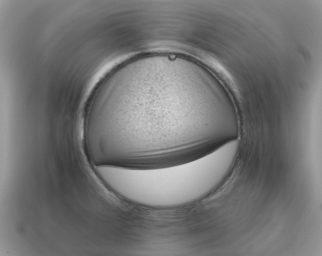 X0000115041376200911091355