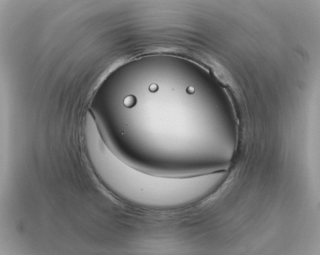 X0000115041377200911091355