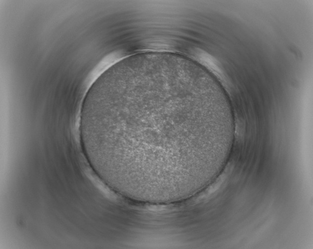 X0000115041378200911091355