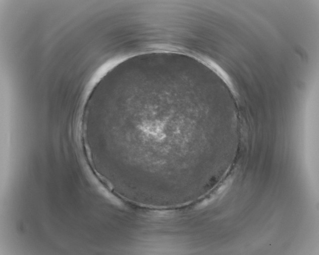 X0000115041381200911091355
