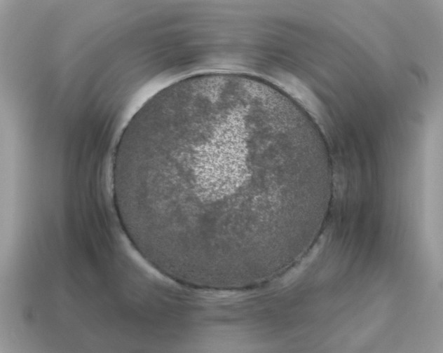 X0000115041382200911091355