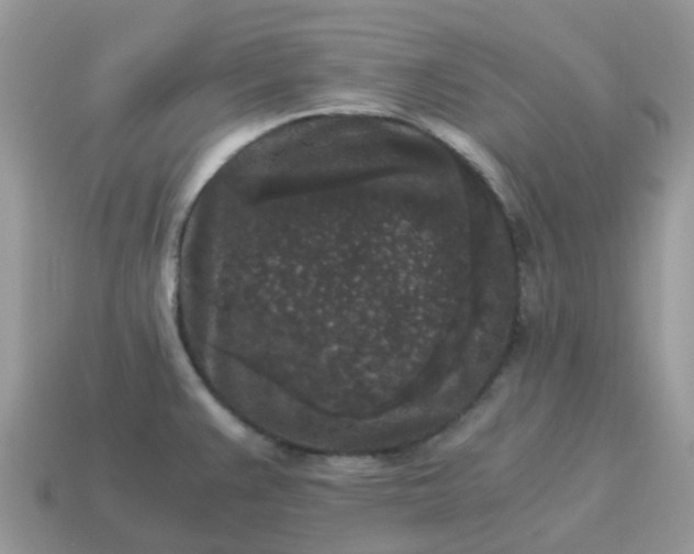 X0000115041383200911091355