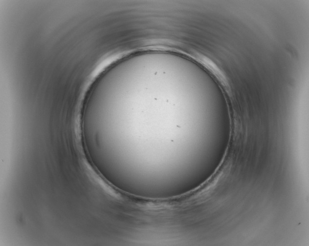 X0000115041384200911091355