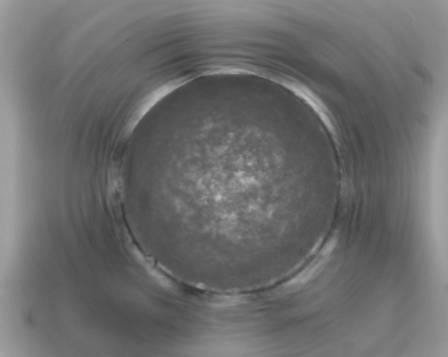X0000115041385200911091355