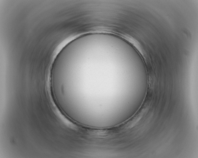 X0000115041387200911091355