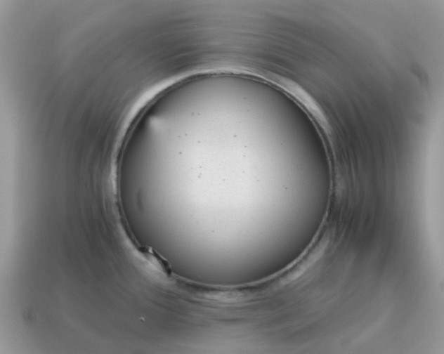 X0000115041388200911091355