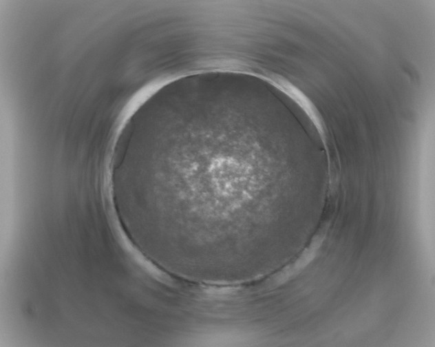 X0000115041389200911091355