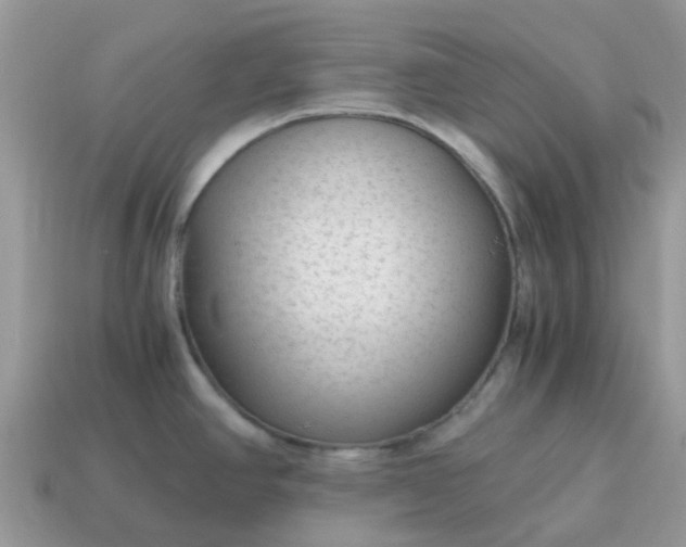 X0000115041390200911091355