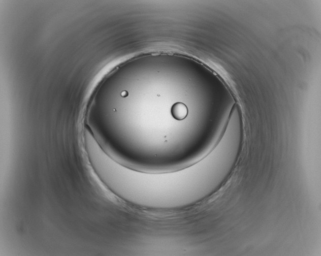 X0000115041392200911091355
