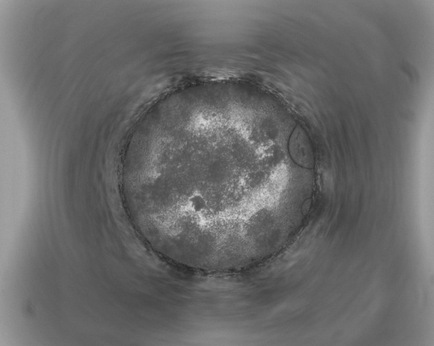X0000115041393200911091355