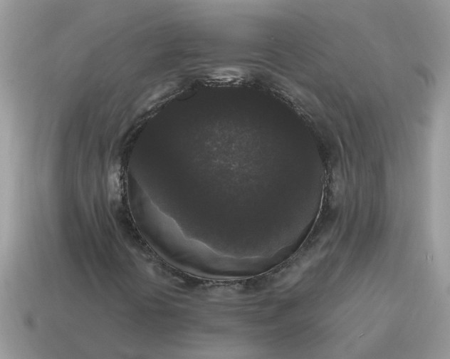 X0000115041394200911091355