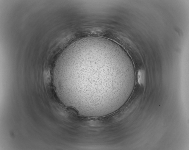 X0000115041395200911091355