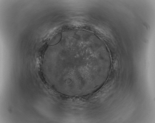 X0000115041397200911091355