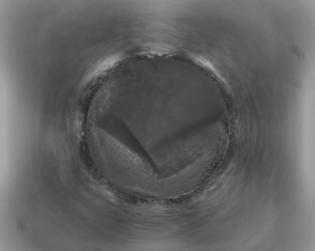 X0000115041399200911091355