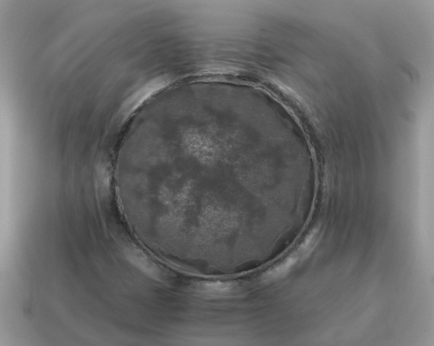 X0000115041401200911091355