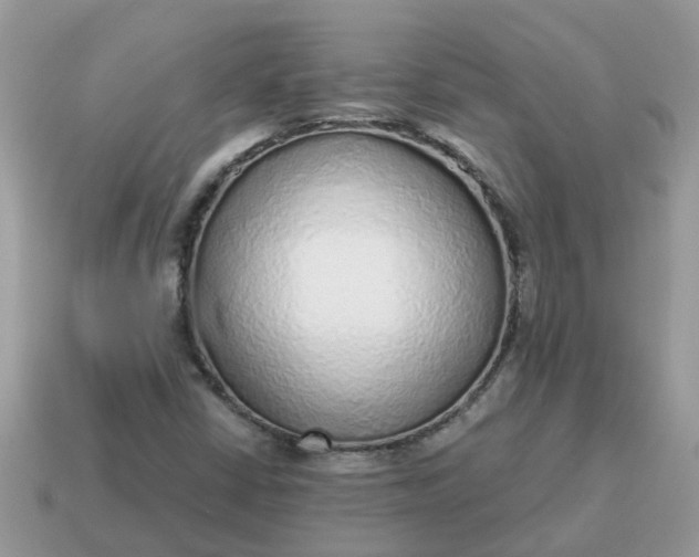 X0000115041402200911091355