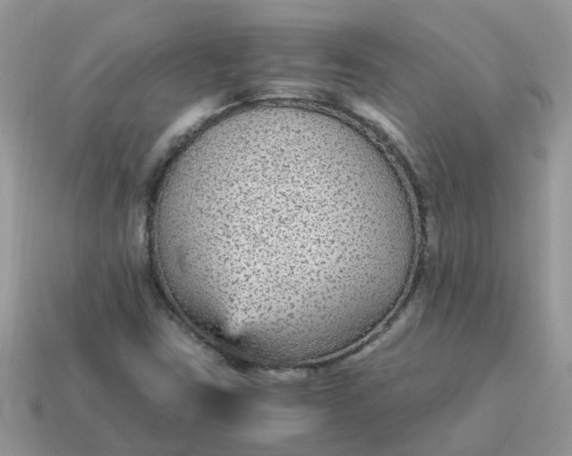 X0000115041403200911091355