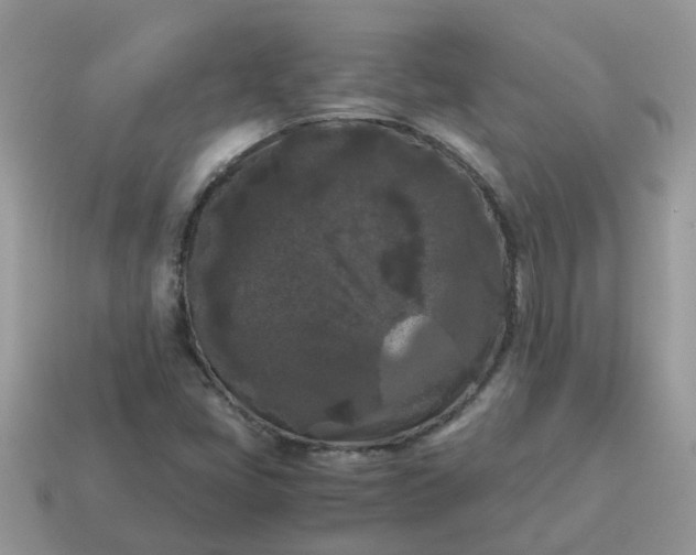 X0000115041405200911091355