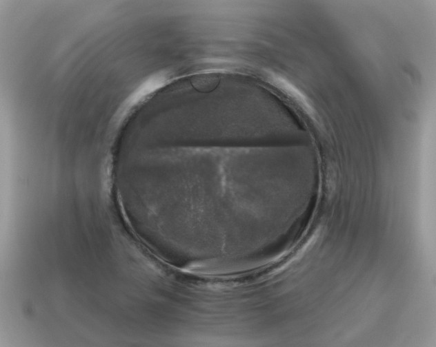 X0000115041411200911091355