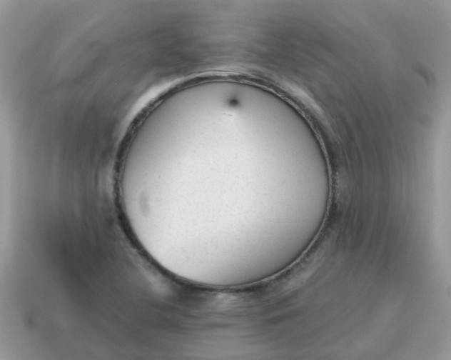 X0000115041412200911091355
