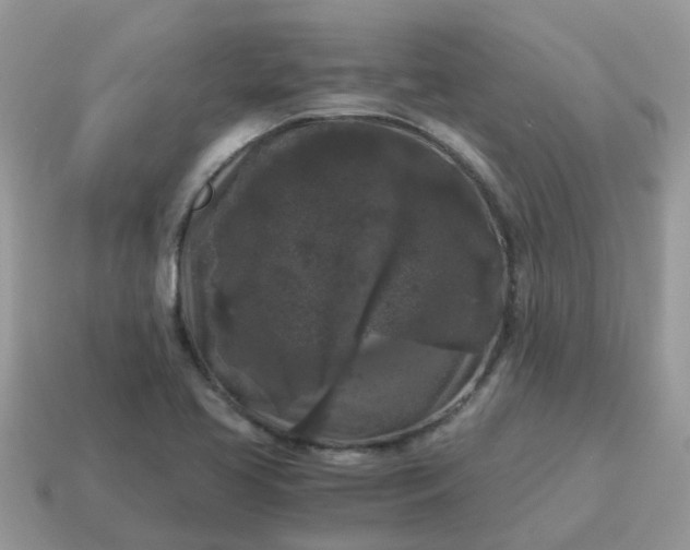 X0000115041413200911091355