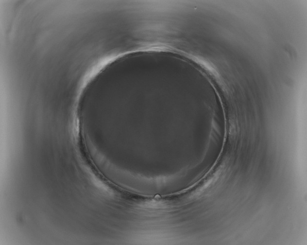 X0000115041414200911091355