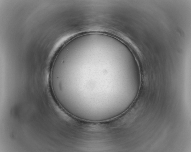 X0000115041416200911091355