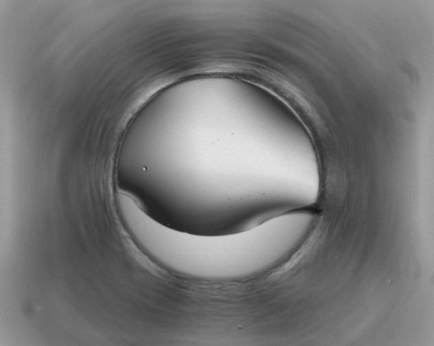 X0000115041417200911091355