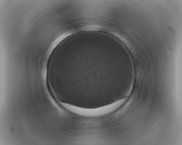X0000115041418200911091355
