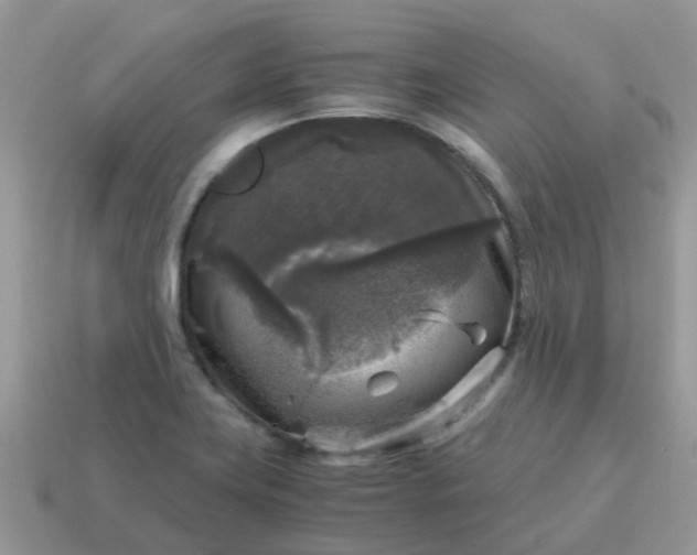 X0000115041419200911091355