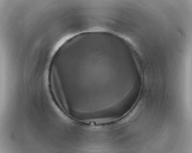 X0000115041422200911091355