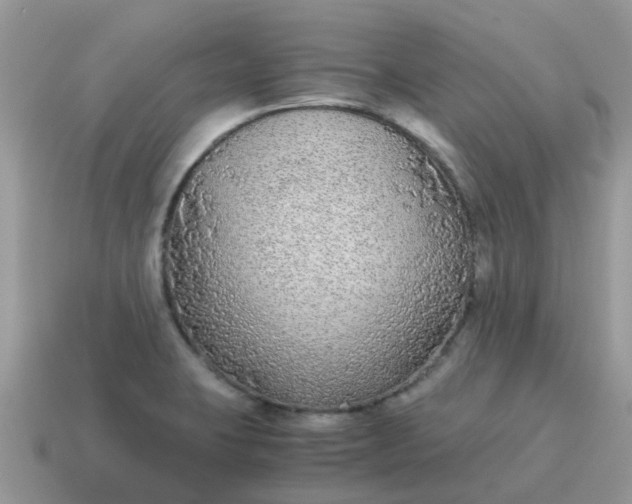 X0000115041423200911091355