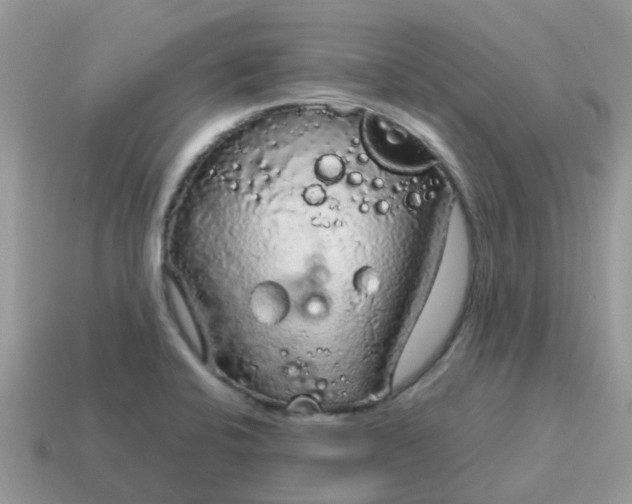 X0000115041424200911091355